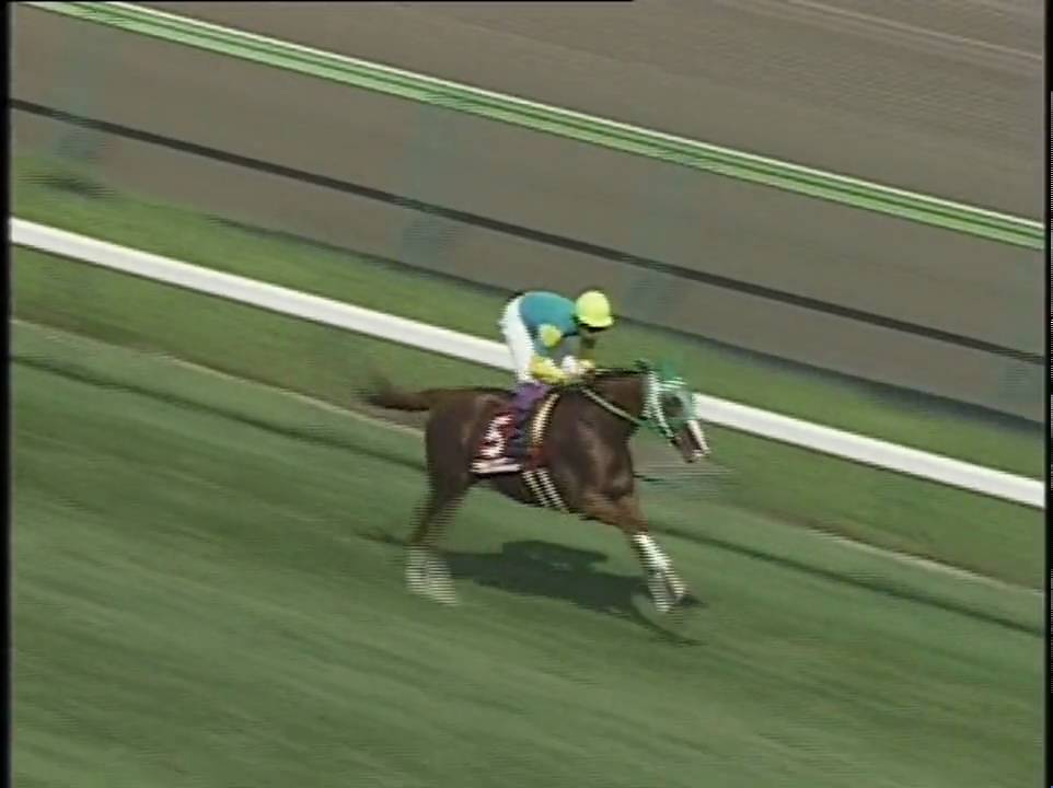 競馬 1998年 金鯱賞 サイレンススズカ 高画質 投資の基礎知識や攻略術動画まとめ