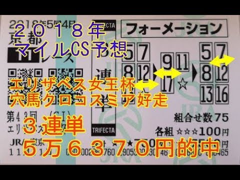 ２０１８年 マイルチャンピオンシップ予想 ぜんこうの競馬予想 投資の基礎知識や攻略術動画まとめ